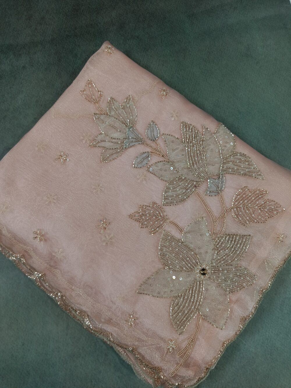 Pure Organza with Handwork