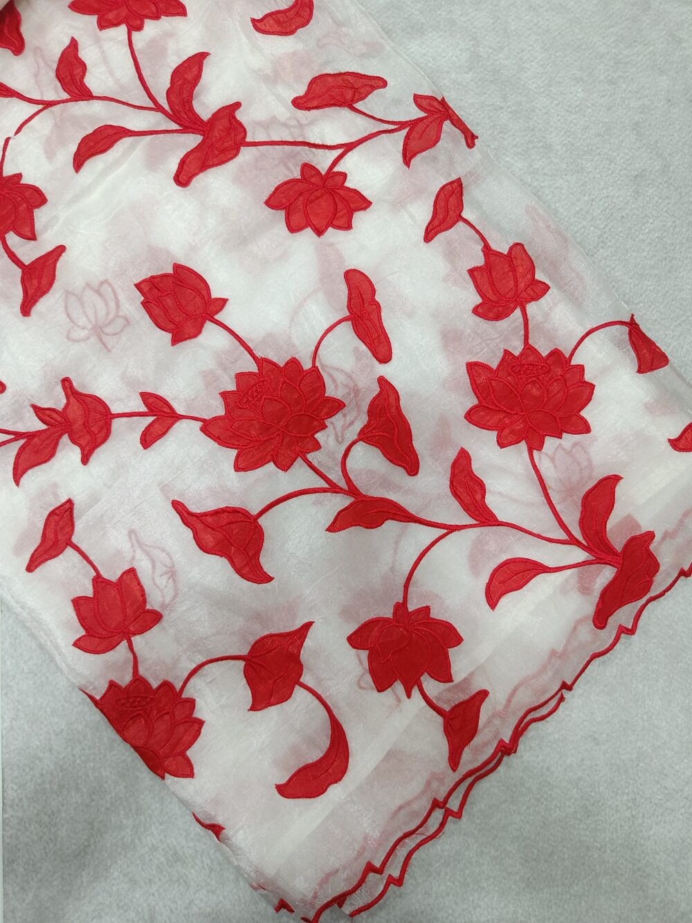 Organza with Aplic work