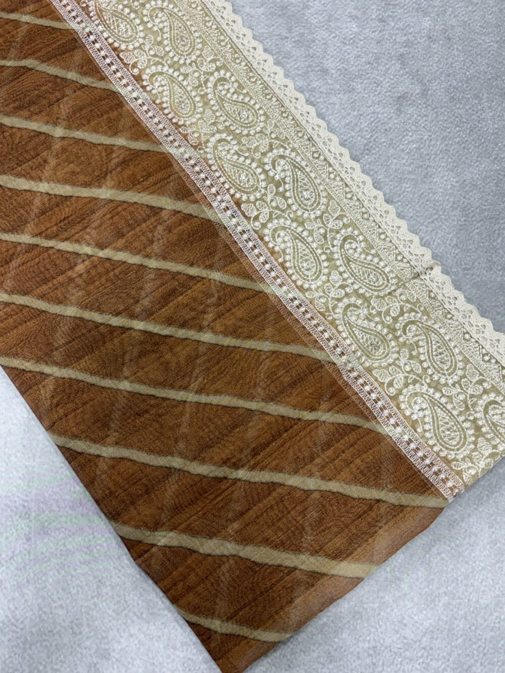 Organza With Chikankari Work